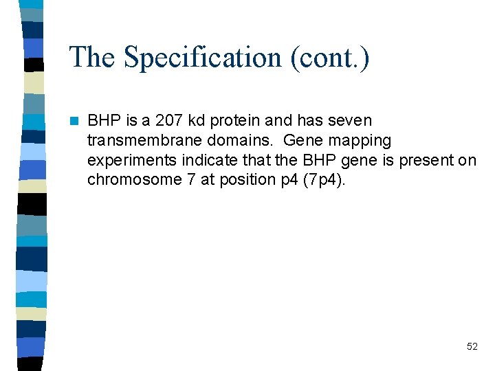 The Specification (cont. ) n BHP is a 207 kd protein and has seven