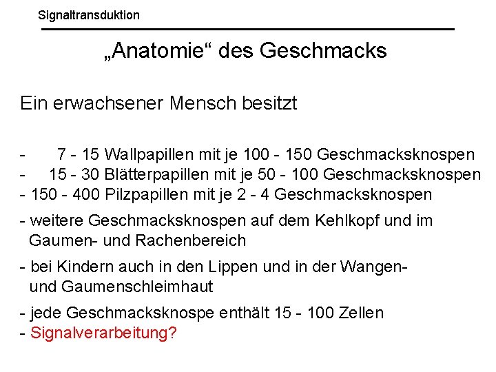 Signaltransduktion „Anatomie“ des Geschmacks Ein erwachsener Mensch besitzt 7 - 15 Wallpapillen mit je