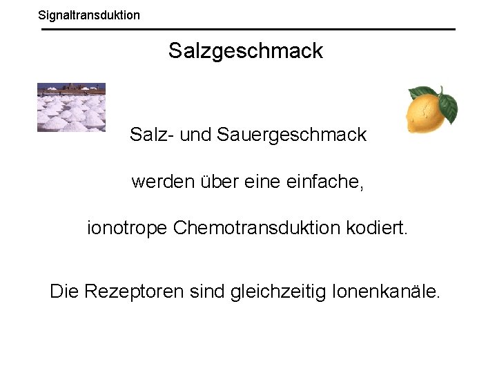 Signaltransduktion Salzgeschmack Salz- und Sauergeschmack werden über eine einfache, ionotrope Chemotransduktion kodiert. Die Rezeptoren