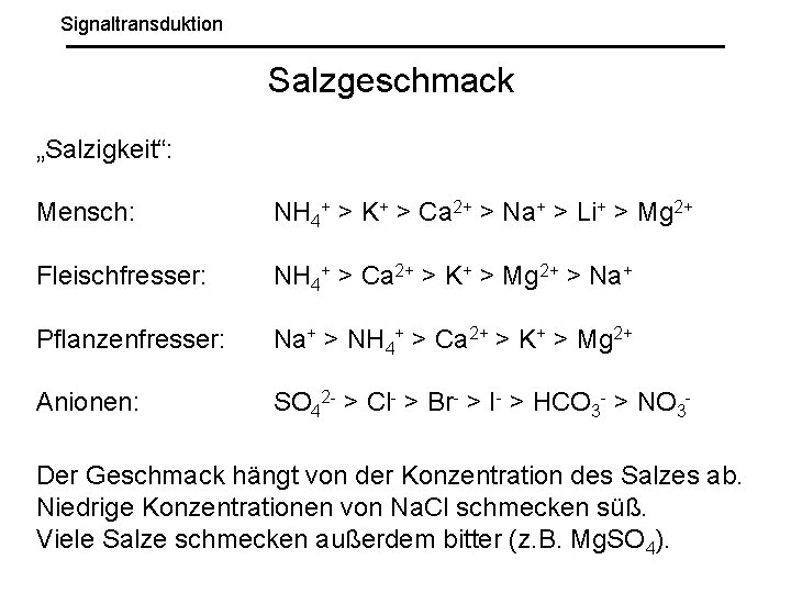 Signaltransduktion Salzgeschmack „Salzigkeit“: Mensch: NH 4+ > K+ > Ca 2+ > Na+ >