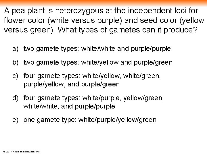 A pea plant is heterozygous at the independent loci for flower color (white versus