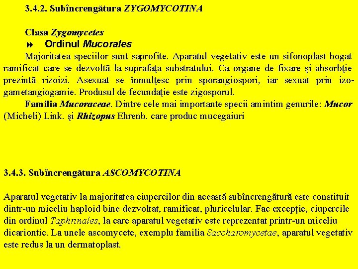 3. 4. 2. Subîncrengătura ZYGOMYCOTINA Clasa Zygomycetes 8 Ordinul Mucorales Majoritatea speciilor sunt saprofite.