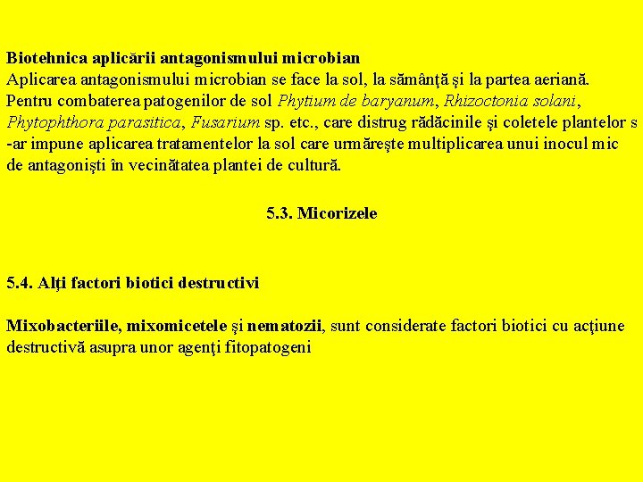 Biotehnica aplicării antagonismului microbian Aplicarea antagonismului microbian se face la sol, la sămânţă şi