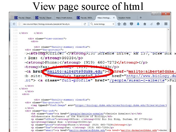 View page source of html 