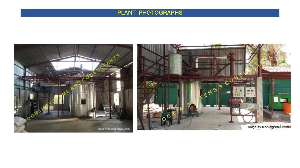 PLANT PHOTOGRAPHS PLANT PHOTOGRAPHS