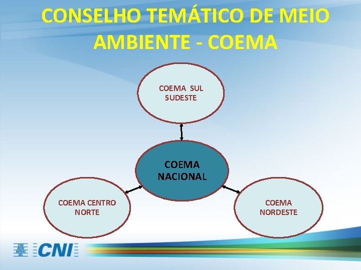 CONSELHO TEMÁTICO DE MEIO AMBIENTE - COEMA SUL SUDESTE COEMA NACIONAL COEMA CENTRO NORTE