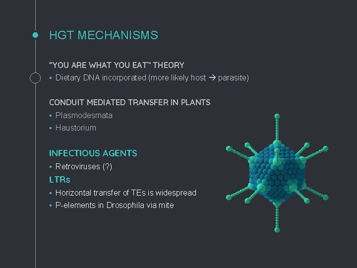 HGT MECHANISMS “YOU ARE WHAT YOU EAT” THEORY § Dietary DNA incorporated (more likely