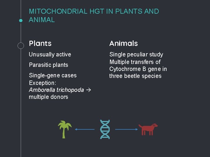MITOCHONDRIAL HGT IN PLANTS AND ANIMAL Plants Animals Unusually active Single peculiar study Multiple MITOCHONDRIAL HGT IN PLANTS AND ANIMAL Plants Animals Unusually active Single peculiar study Multiple