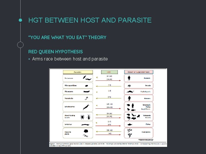 HGT BETWEEN HOST AND PARASITE “YOU ARE WHAT YOU EAT” THEORY RED QUEEN HYPOTHESIS