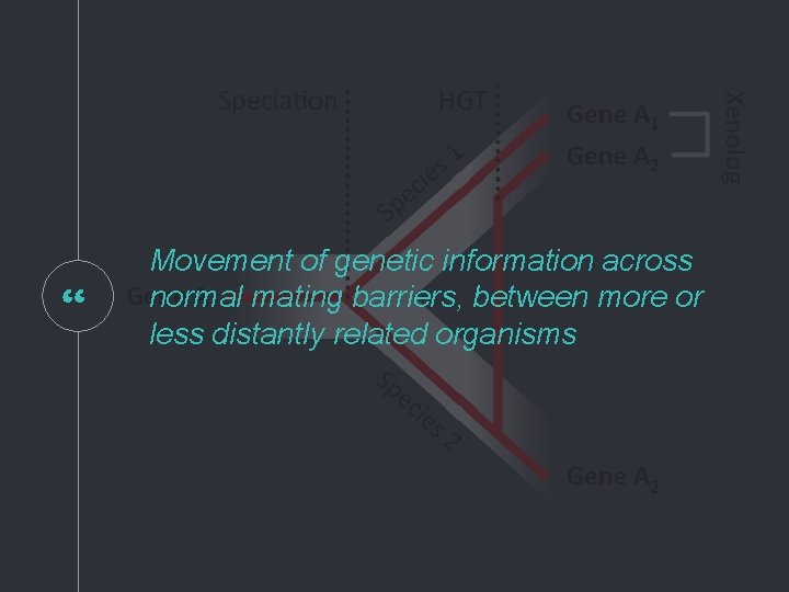 “ Movement of genetic information across normal mating barriers, between more or less distantly