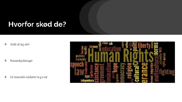 Hvorfor skød de? ❖ Ondt af sig selv ❖ Masseskydninger ❖ SS-trænede soldater tog