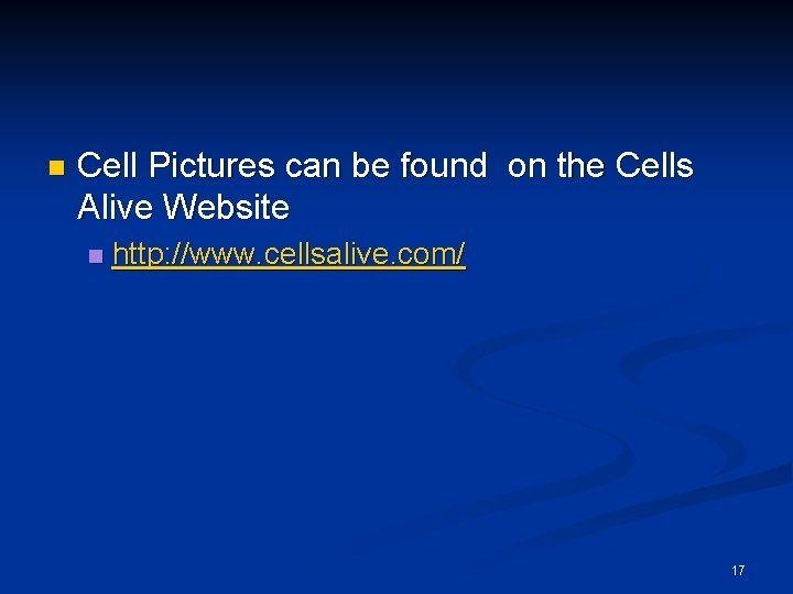 n Cell Pictures can be found on the Cells Alive Website n http: //www.