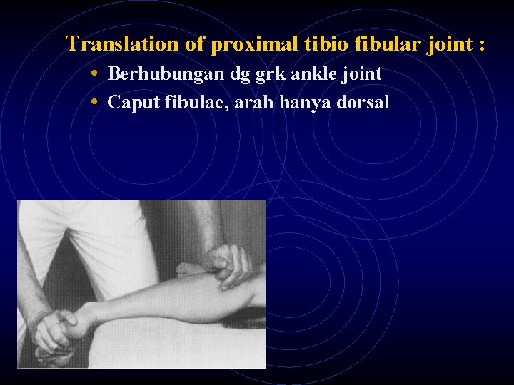Translation of proximal tibio fibular joint : • Berhubungan dg grk ankle joint •