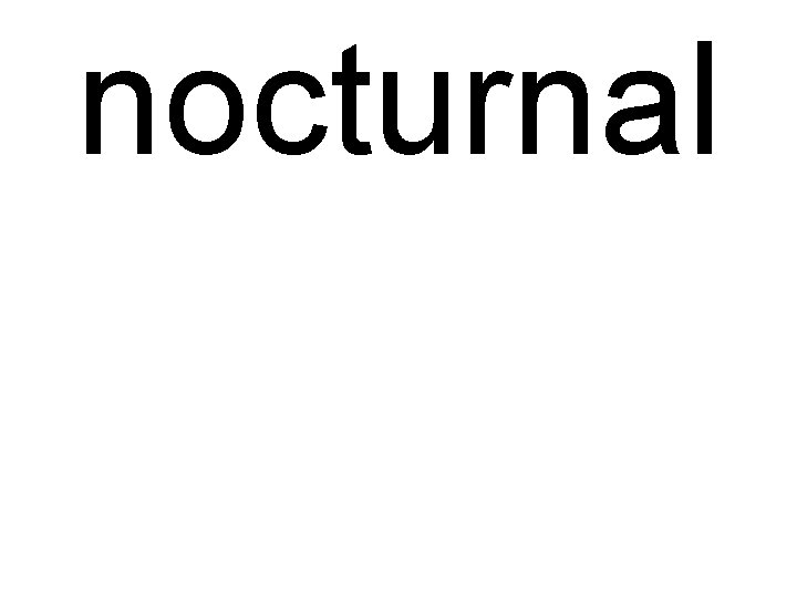 nocturnal 