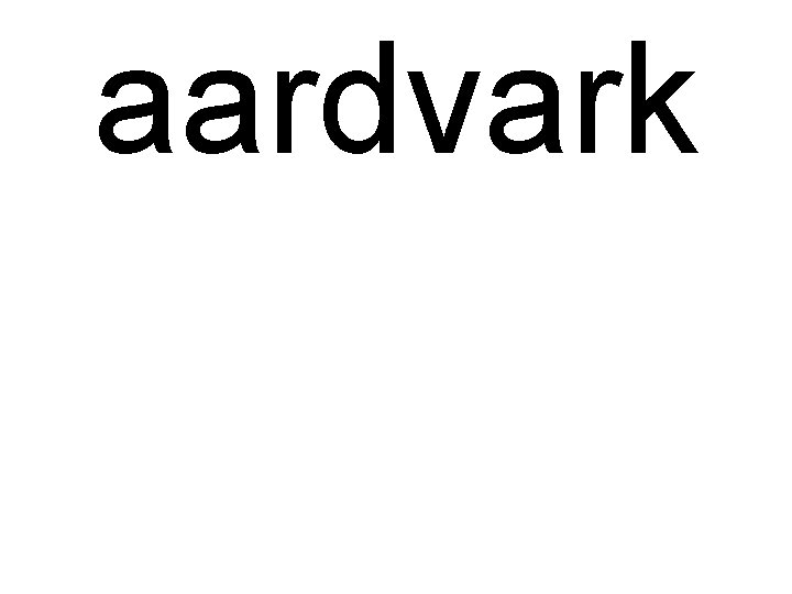 aardvark 