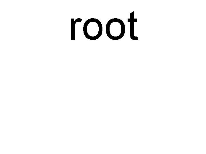 root 