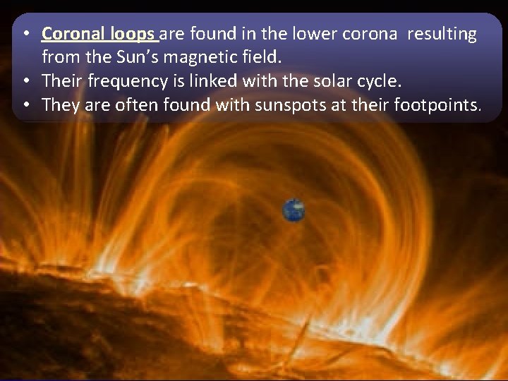  • Coronal loops are found in the lower corona resulting from the Sun’s