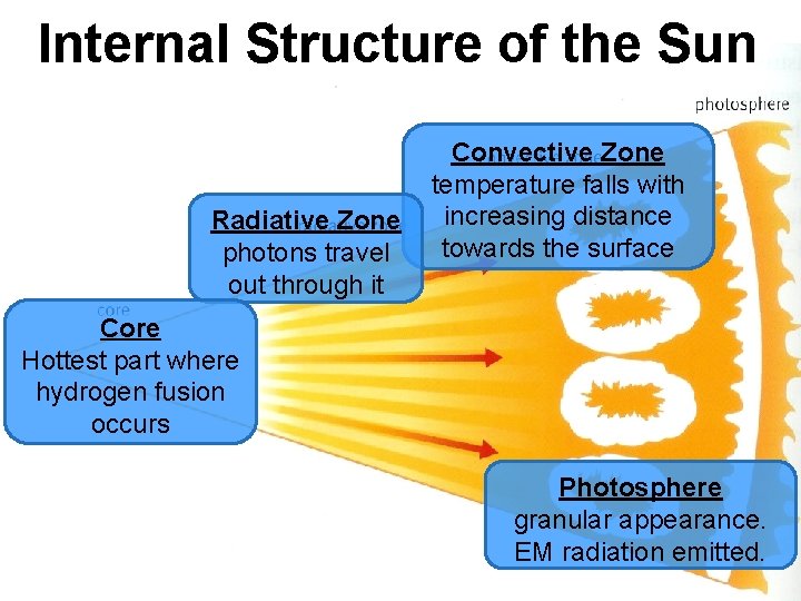 Internal Structure of the Sun Radiative Zone photons travel out through it Convective Zone