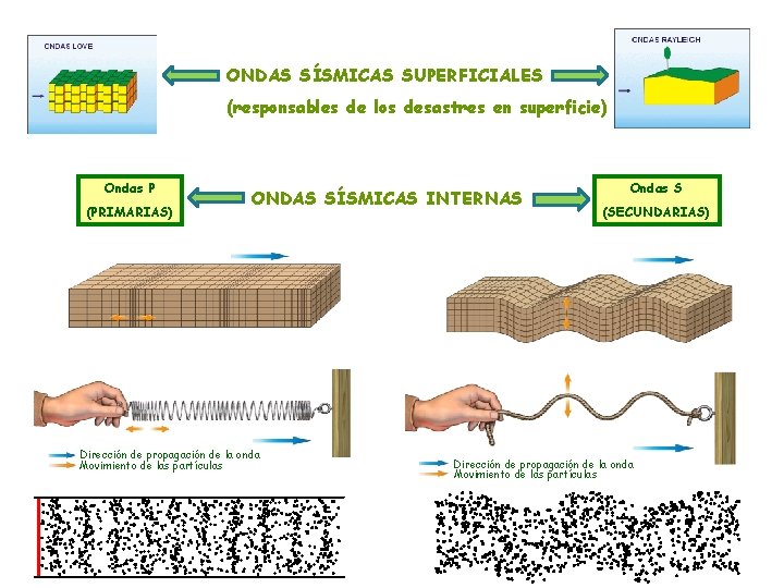 ONDAS SÍSMICAS SUPERFICIALES (responsables de los desastres en superficie) Ondas P (PRIMARIAS) ONDAS SÍSMICAS