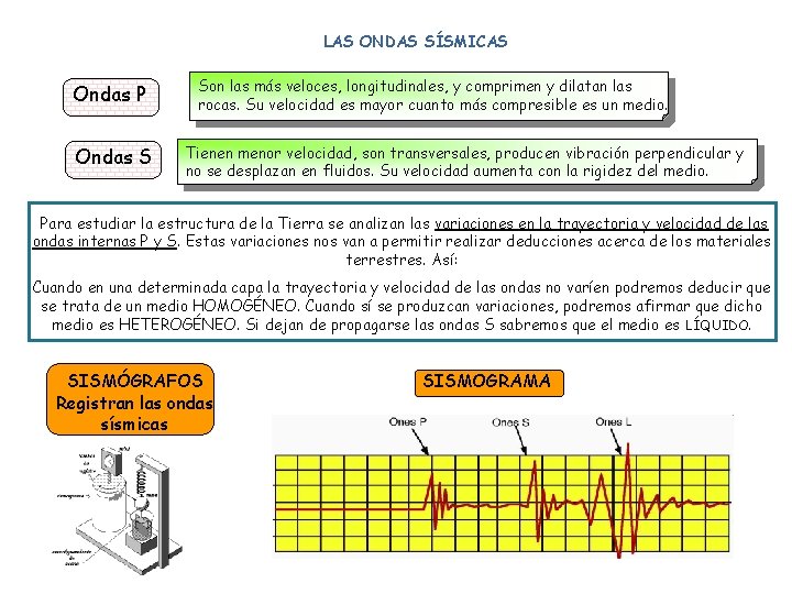 LAS ONDAS SÍSMICAS Ondas P Ondas S Son las más veloces, longitudinales, y comprimen