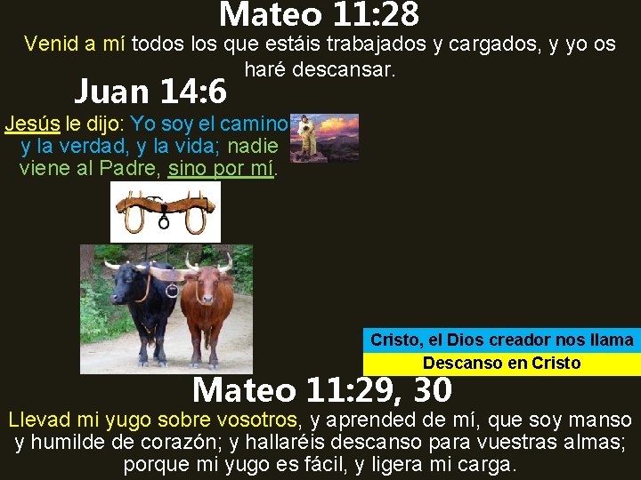 Mateo 11: 28 Venid a mí todos los que estáis trabajados y cargados, y