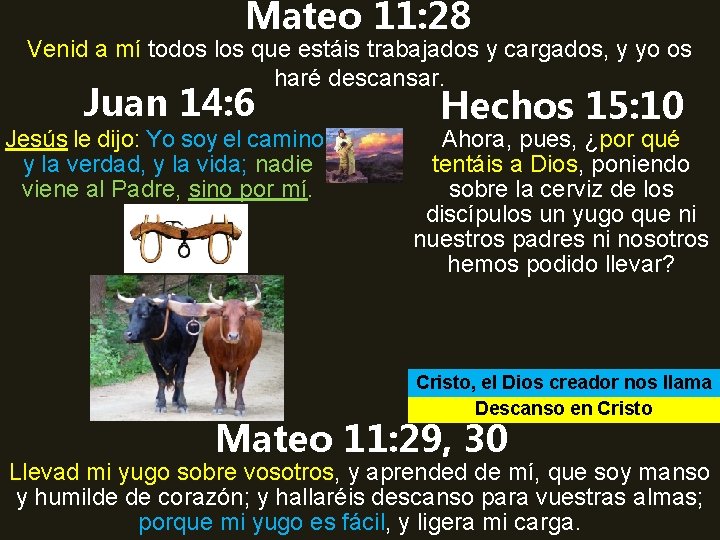 Mateo 11: 28 Venid a mí todos los que estáis trabajados y cargados, y