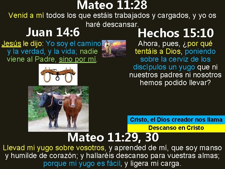 Mateo 11: 28 Venid a mí todos los que estáis trabajados y cargados, y