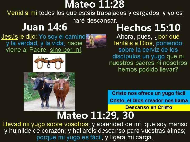 Mateo 11: 28 Venid a mí todos los que estáis trabajados y cargados, y