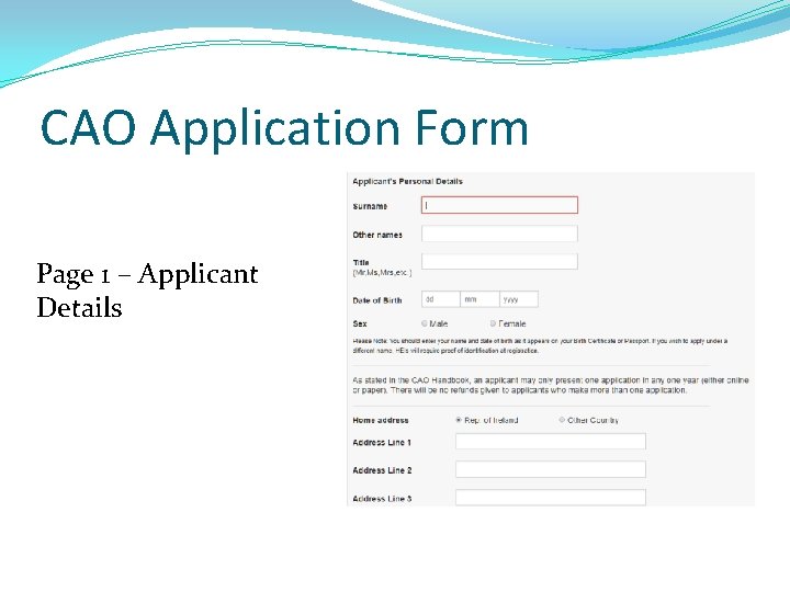 CAO Application Form Page 1 – Applicant Details CAO Application Form Page 1 – Applicant Details