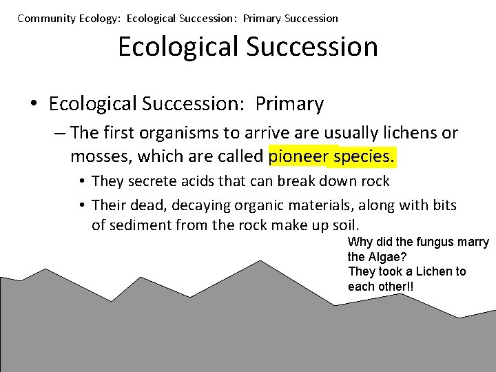 Community Ecology: Ecological Succession: Primary Succession Ecological Succession • Ecological Succession: Primary – The