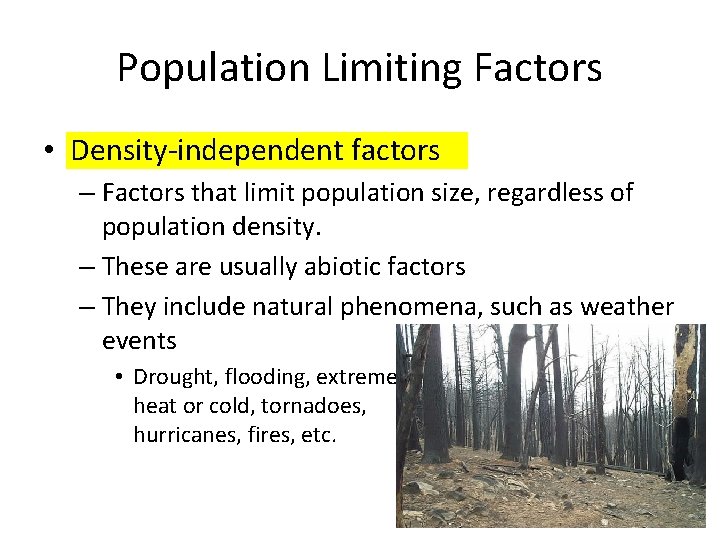 Population Limiting Factors • Density-independent factors – Factors that limit population size, regardless of