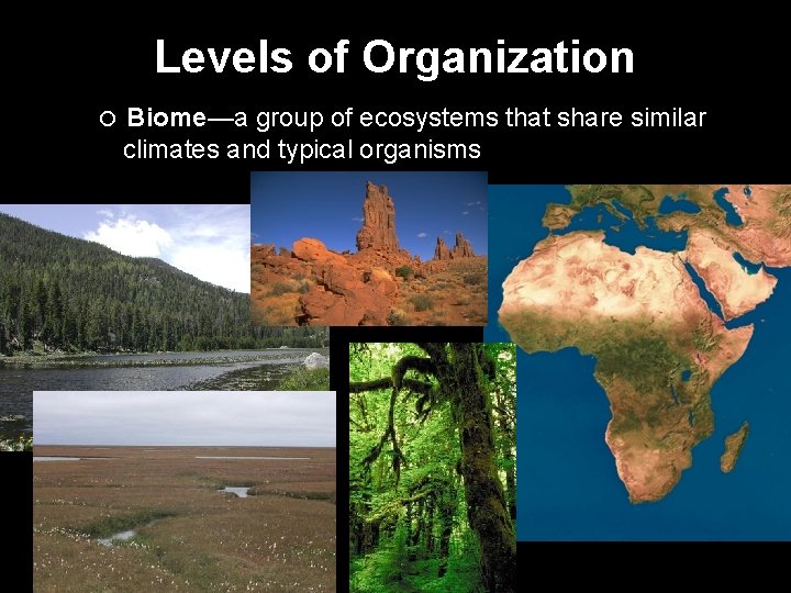 Levels of Organization Biome—a group of ecosystems that share similar climates and typical organisms