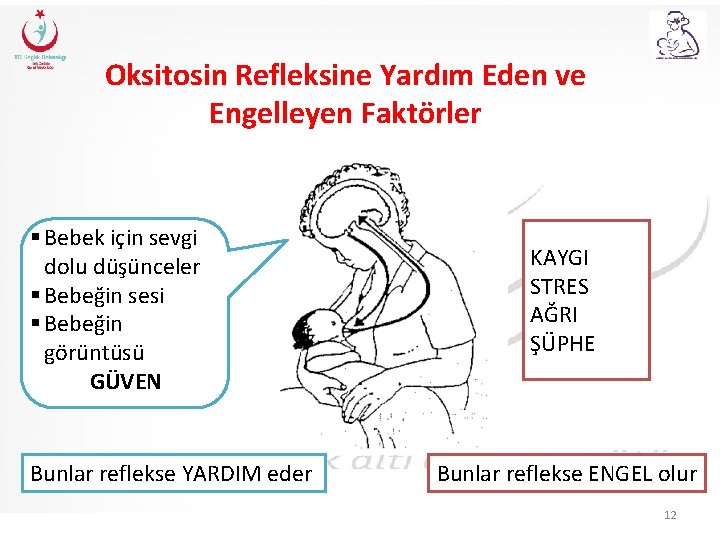 Oksitosin Refleksine Yardım Eden ve Engelleyen Faktörler § Bebek için sevgi dolu düşünceler §
