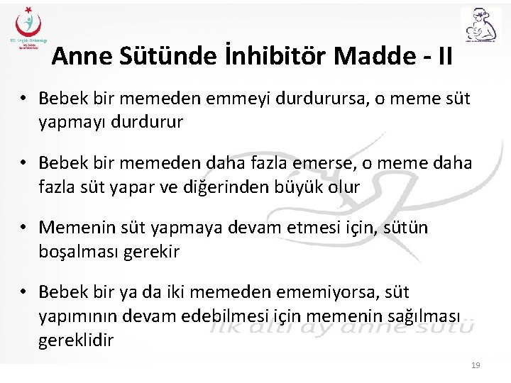 Anne Sütünde İnhibitör Madde - II • Bebek bir memeden emmeyi durdurursa, o meme