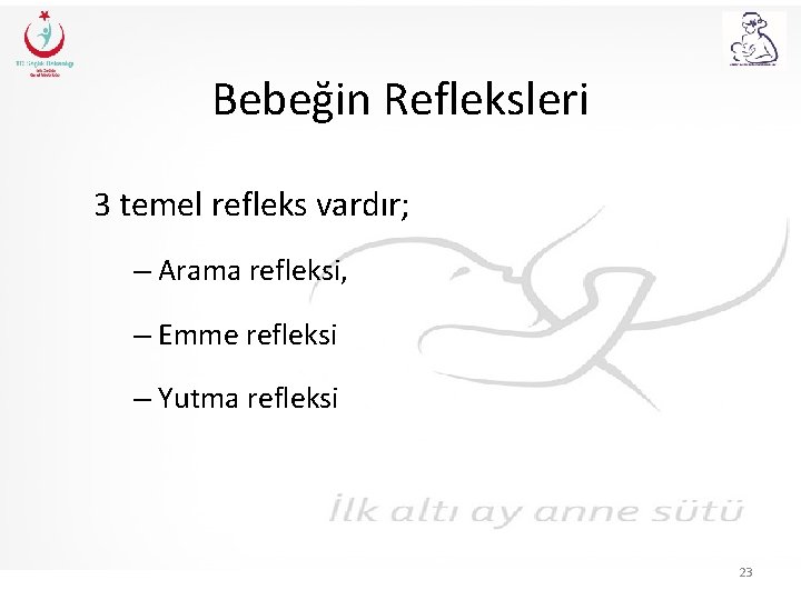 Bebeğin Refleksleri 3 temel refleks vardır; – Arama refleksi, – Emme refleksi – Yutma