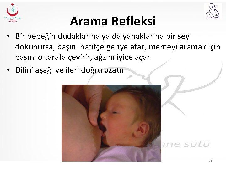 Arama Refleksi • Bir bebeğin dudaklarına ya da yanaklarına bir şey dokunursa, başını hafifçe