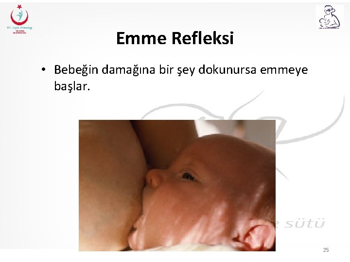 Emme Refleksi • Bebeğin damağına bir şey dokunursa emmeye başlar. 25 