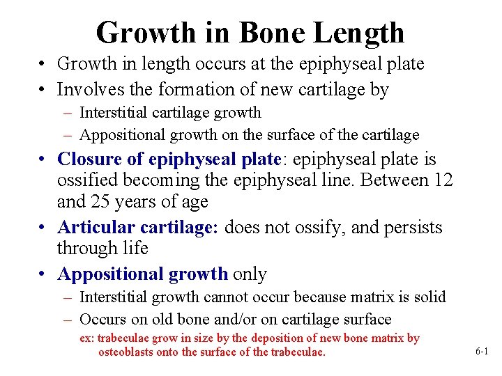 Growth in Bone Length • Growth in length occurs at the epiphyseal plate •