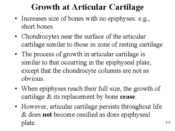 Growth at Articular Cartilage • Increases size of bones with no epiphyses: e. g.