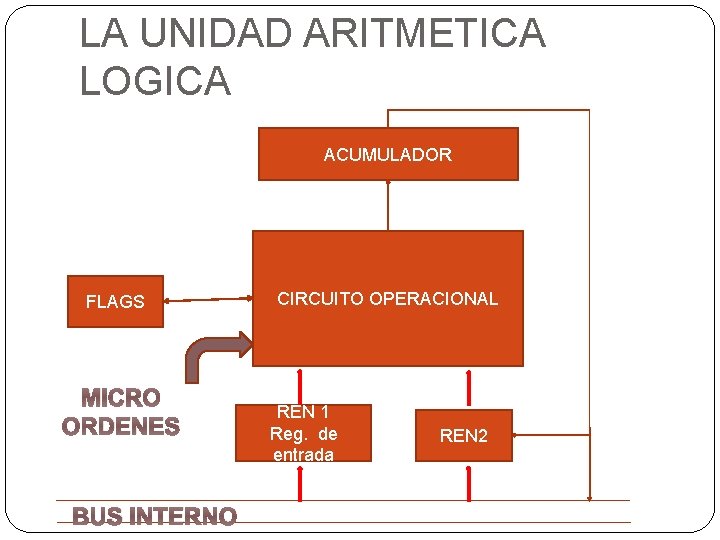 LA UNIDAD ARITMETICA LOGICA ACUMULADOR FLAGS MICRO ORDENES BUS INTERNO CIRCUITO OPERACIONAL REN 1 LA UNIDAD ARITMETICA LOGICA ACUMULADOR FLAGS MICRO ORDENES BUS INTERNO CIRCUITO OPERACIONAL REN 1