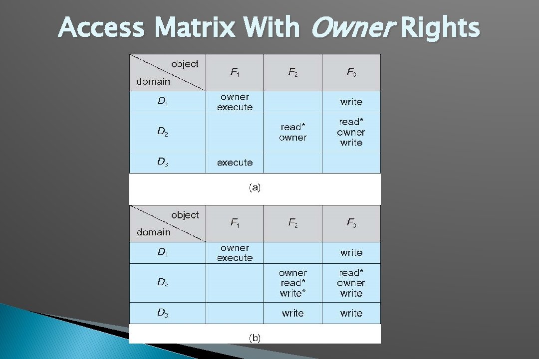 Access Matrix With Owner Rights 