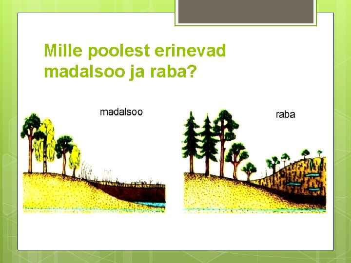 Mille poolest erinevad madalsoo ja raba? 