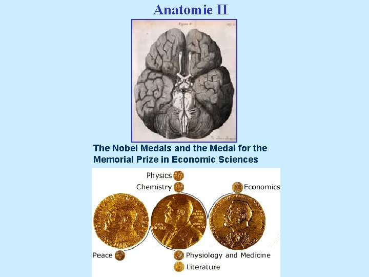 Anatomie II The Nobel Medals and the Medal for the Memorial Prize in Economic