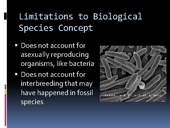 Limitations to Biological Species Concept Does not account for asexually reproducing organisms, like bacteria
