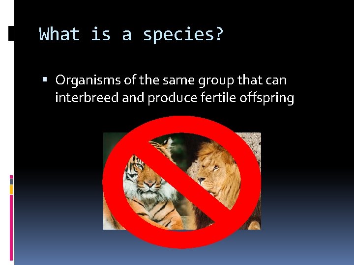 What is a species? Organisms of the same group that can interbreed and produce