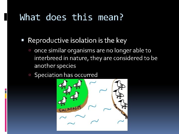 What does this mean? Reproductive isolation is the key once similar organisms are no