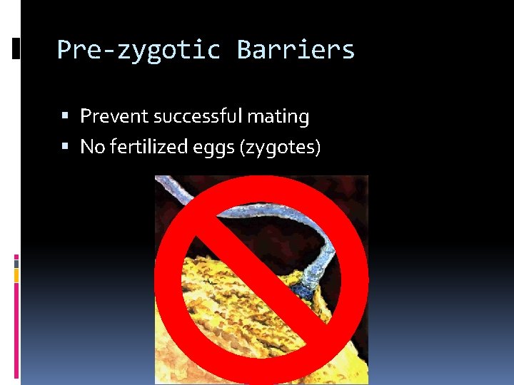 Pre-zygotic Barriers Prevent successful mating No fertilized eggs (zygotes) 