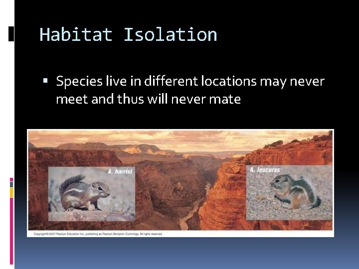 Habitat Isolation Species live in different locations may never meet and thus will never