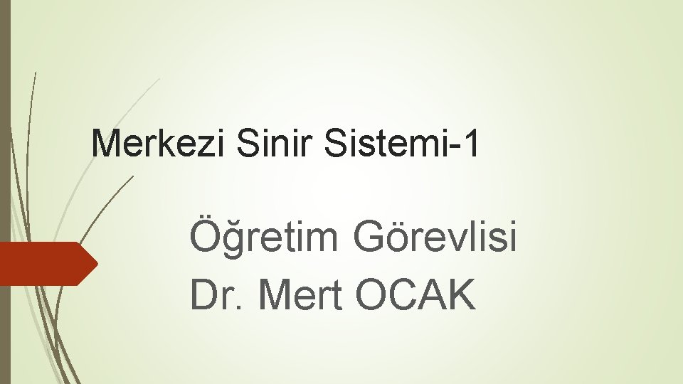 Merkezi Sinir Sistemi-1 Öğretim Görevlisi Dr. Mert OCAK 