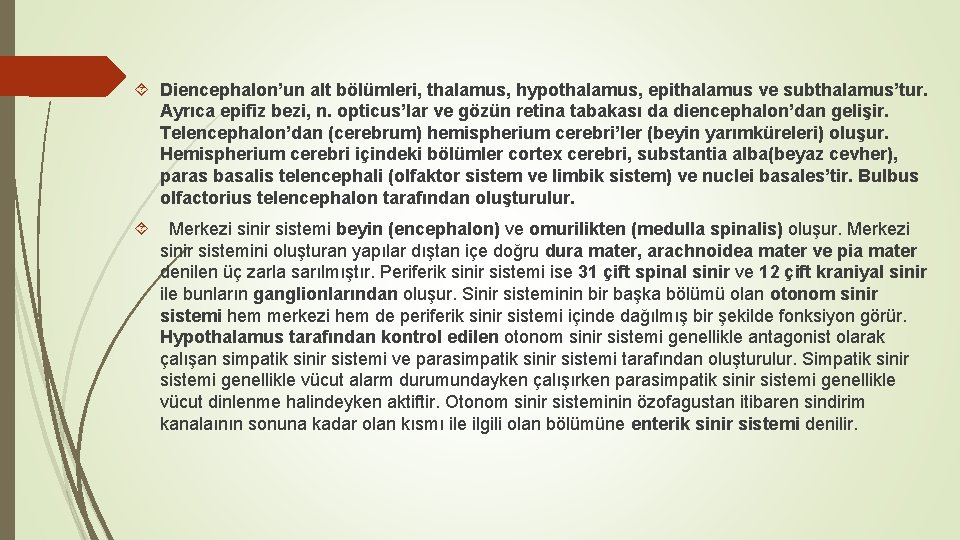  Diencephalon’un alt bölümleri, thalamus, hypothalamus, epithalamus ve subthalamus’tur. Ayrıca epifiz bezi, n. opticus’lar